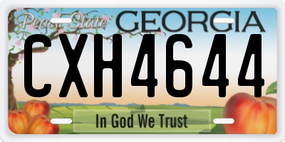 GA license plate CXH4644