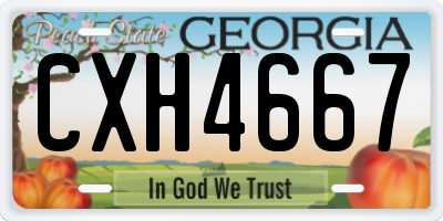 GA license plate CXH4667