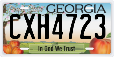 GA license plate CXH4723