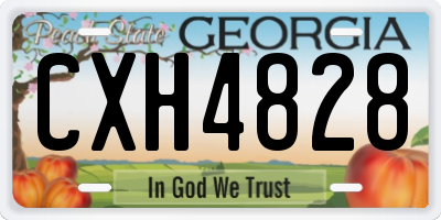 GA license plate CXH4828