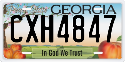GA license plate CXH4847