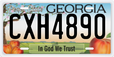GA license plate CXH4890