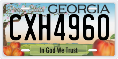 GA license plate CXH4960