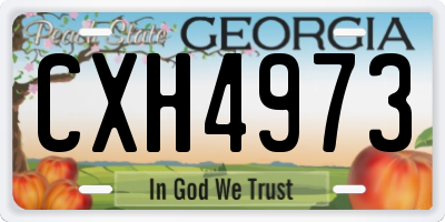 GA license plate CXH4973