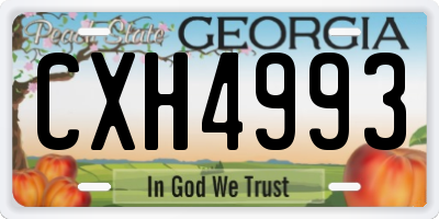 GA license plate CXH4993