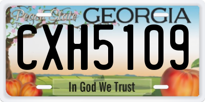 GA license plate CXH5109