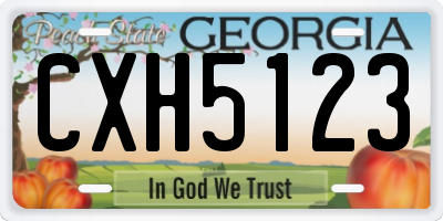 GA license plate CXH5123
