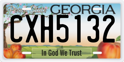GA license plate CXH5132