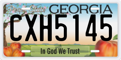 GA license plate CXH5145