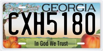 GA license plate CXH5180