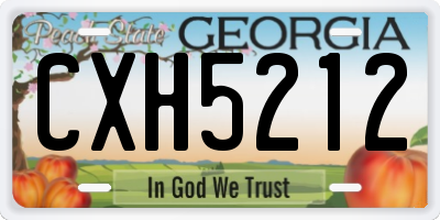 GA license plate CXH5212