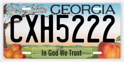 GA license plate CXH5222