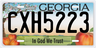 GA license plate CXH5223