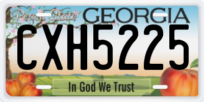 GA license plate CXH5225