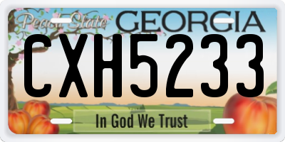 GA license plate CXH5233