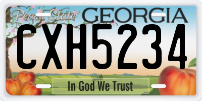 GA license plate CXH5234