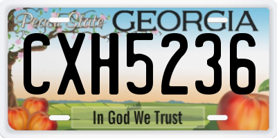 GA license plate CXH5236