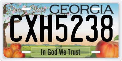GA license plate CXH5238