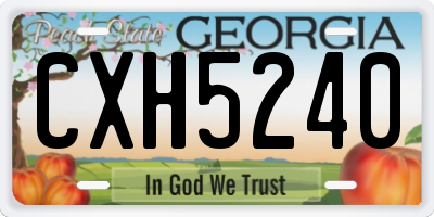 GA license plate CXH5240