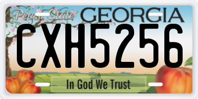 GA license plate CXH5256