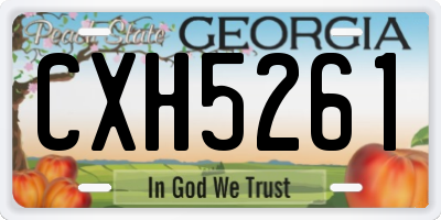 GA license plate CXH5261