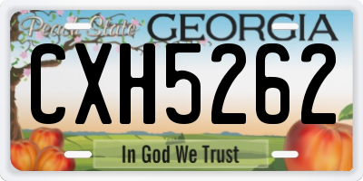 GA license plate CXH5262