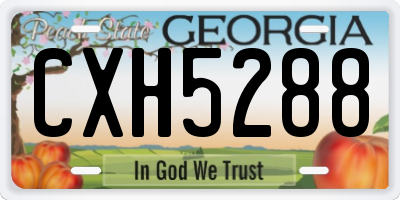 GA license plate CXH5288