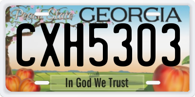 GA license plate CXH5303