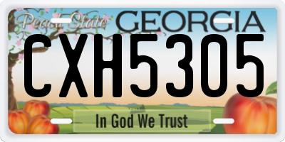 GA license plate CXH5305