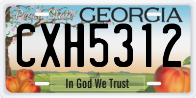 GA license plate CXH5312