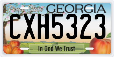 GA license plate CXH5323
