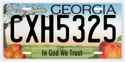 GA license plate CXH5325