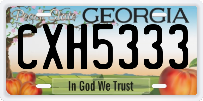 GA license plate CXH5333