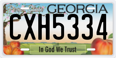GA license plate CXH5334