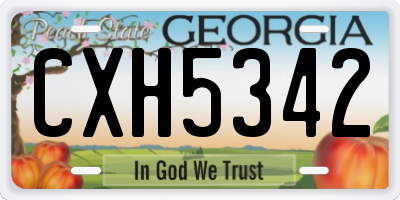 GA license plate CXH5342