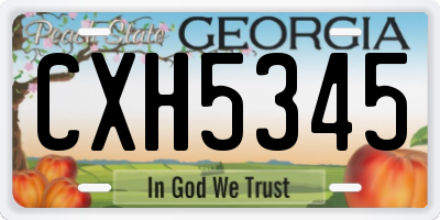 GA license plate CXH5345