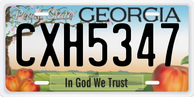 GA license plate CXH5347