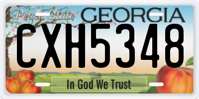 GA license plate CXH5348