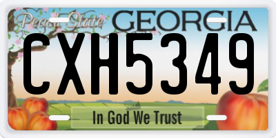 GA license plate CXH5349