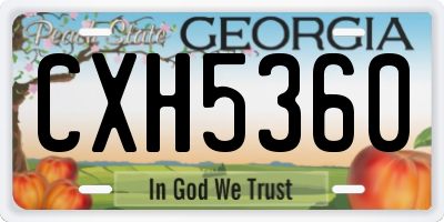 GA license plate CXH5360