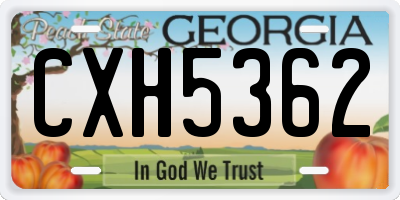 GA license plate CXH5362