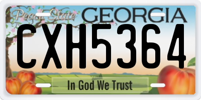 GA license plate CXH5364