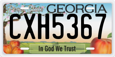 GA license plate CXH5367