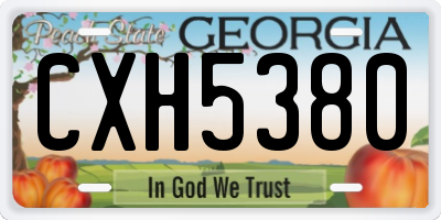 GA license plate CXH5380