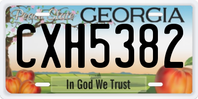 GA license plate CXH5382