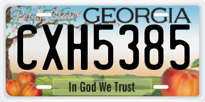 GA license plate CXH5385