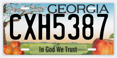 GA license plate CXH5387