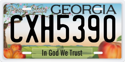 GA license plate CXH5390