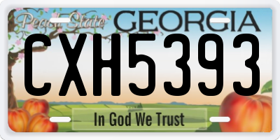 GA license plate CXH5393