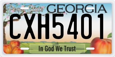 GA license plate CXH5401
